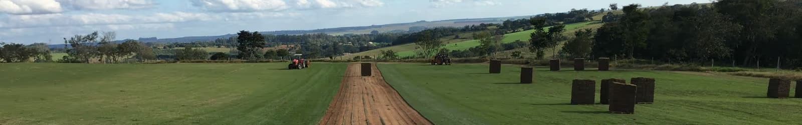 Campo de cultivo de grama até o horizonte, com mata ao fundo e céu aberto